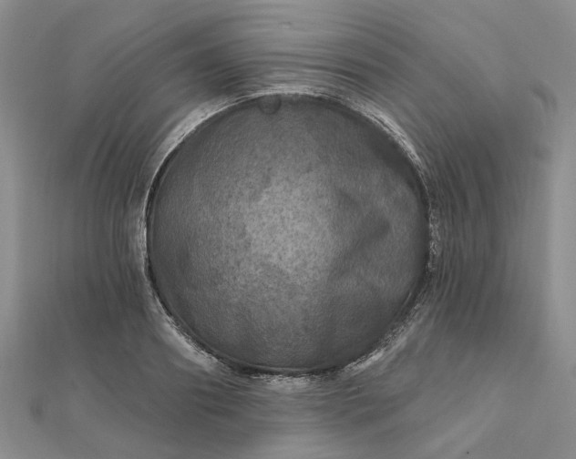 X0000111790890200908061134