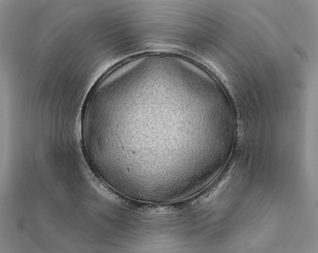 X0000111790891200908061134