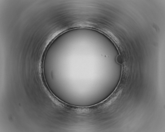 X0000111790893200908061134