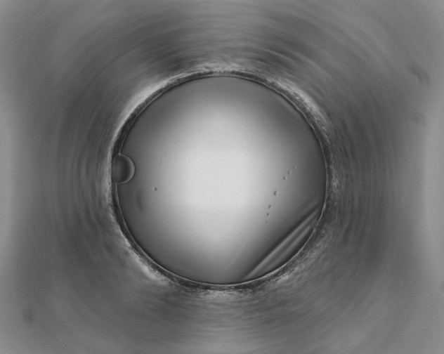 X0000111790894200908061134