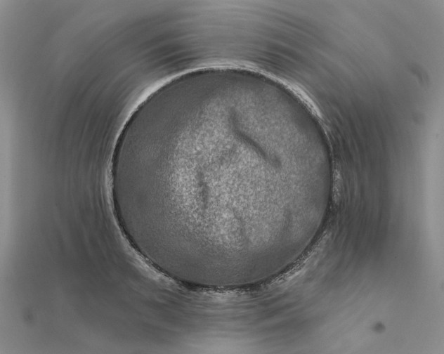 X0000111790895200908061134