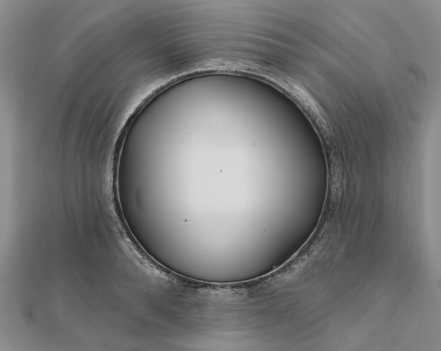 X0000111790896200908061134