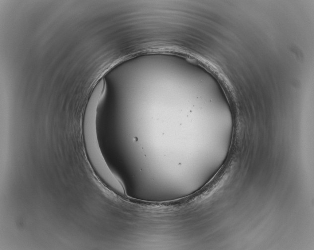 X0000111790897200908061134