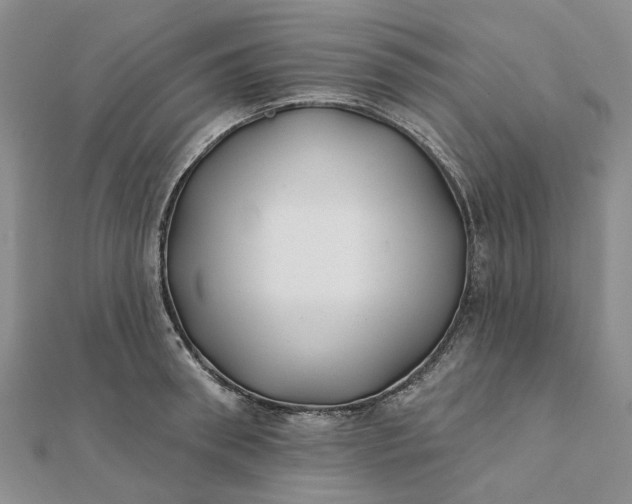 X0000111790898200908061134