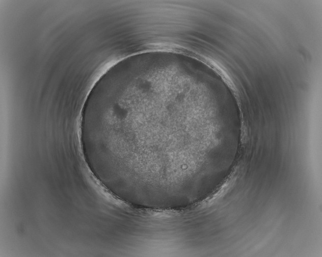 X0000111790899200908061134