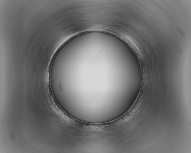 X0000111790900200908061134