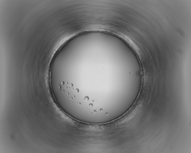 X0000111790901200908061134