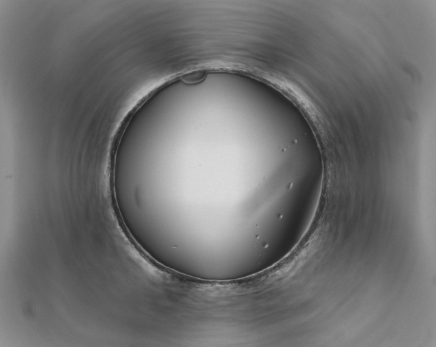 X0000111790902200908061134