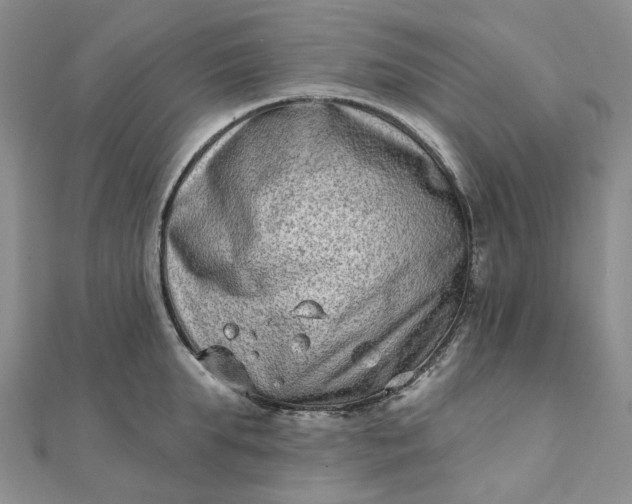 X0000111790903200908061134