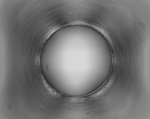 X0000111790905200908061134