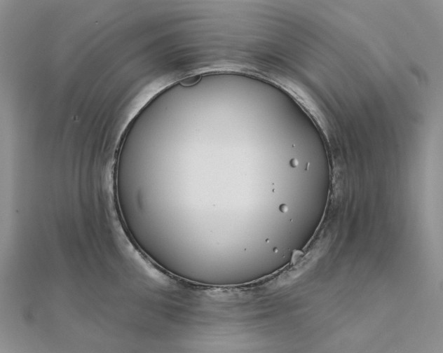 X0000111790906200908061134