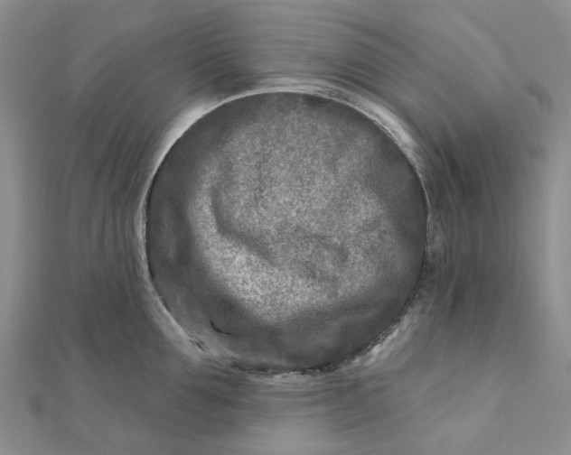 X0000111790907200908061134