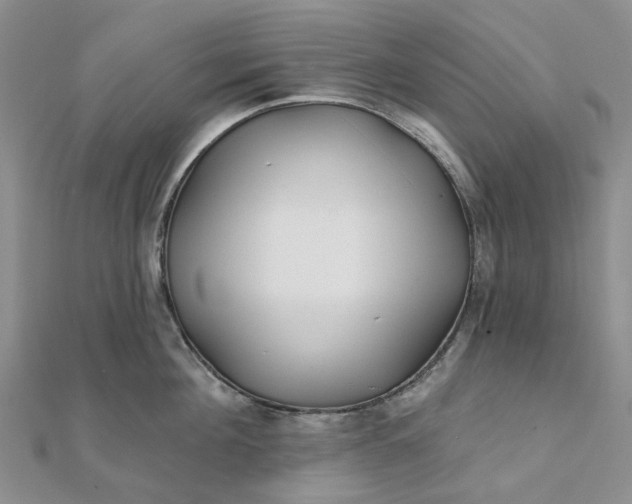 X0000111790908200908061134