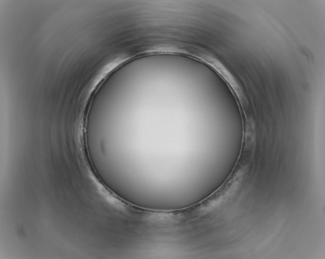 X0000111790909200908061134