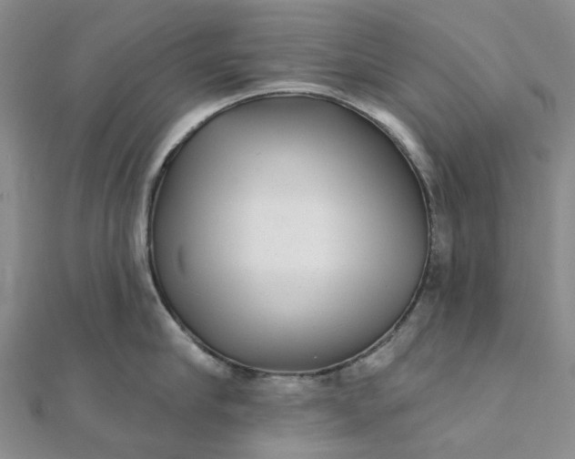 X0000111790910200908061134