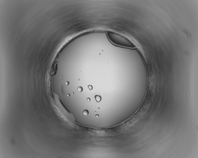 X0000111790911200908061134