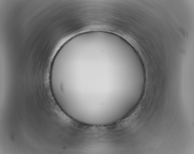 X0000111790912200908061134