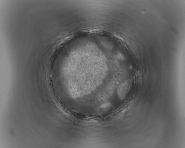 X0000111790913200908061133