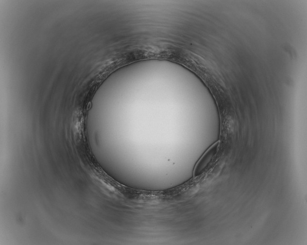 X0000111790914200908061133