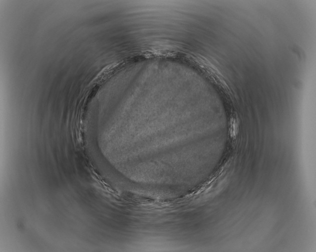 X0000111790915200908061133