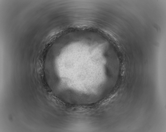 X0000111790917200908061133