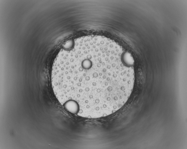 X0000111790918200908061133