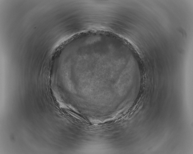 X0000111790919200908061133