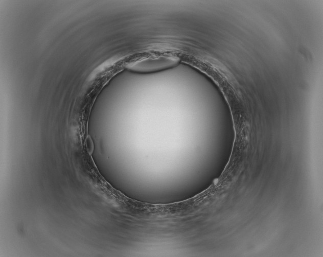 X0000111790920200908061133