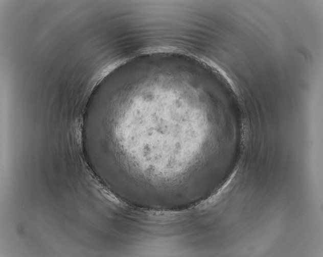 X0000111790921200908061133