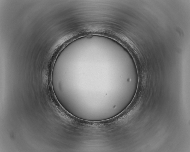 X0000111790922200908061133