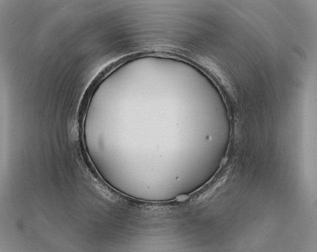 X0000111790924200908061133