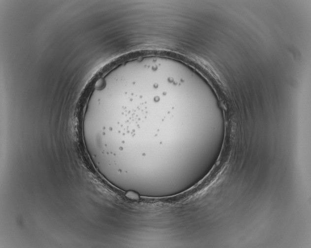 X0000111790926200908061133