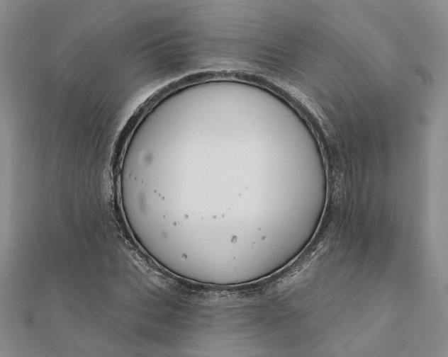 X0000111790927200908061133