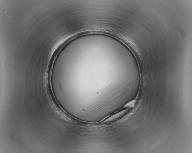 X0000111790928200908061133