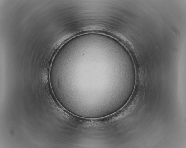 X0000111790929200908061133