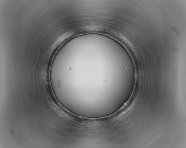 X0000111790930200908061133