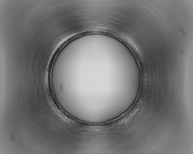 X0000111790932200908061133