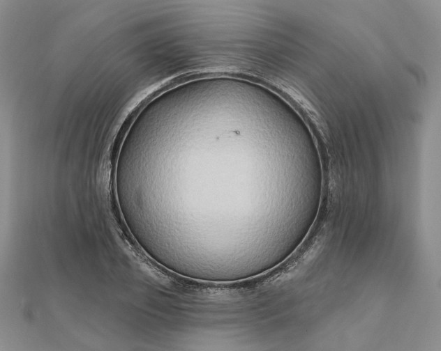 X0000111790933200908061133