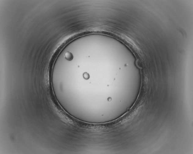 X0000111790934200908061133