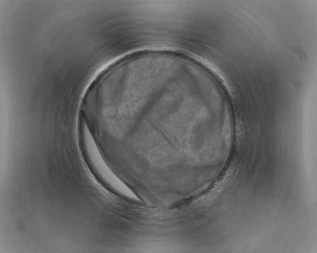 X0000111790935200908061133