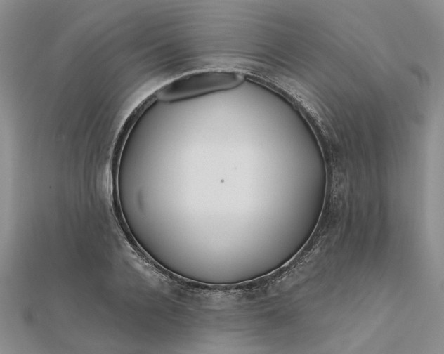 X0000111790936200908061133