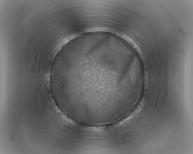 X0000111790937200908061133