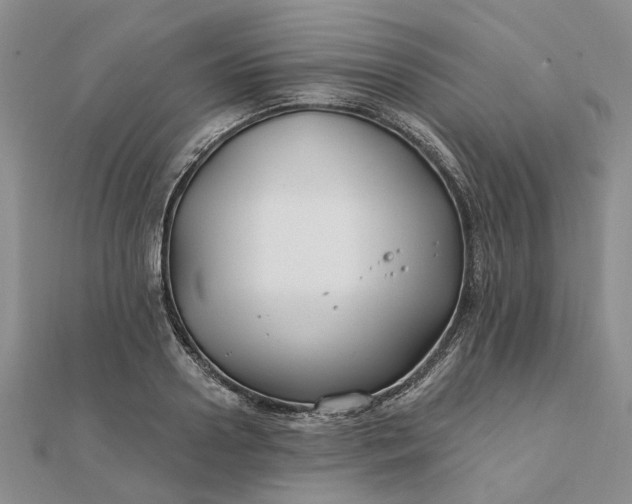 X0000111790938200908061134