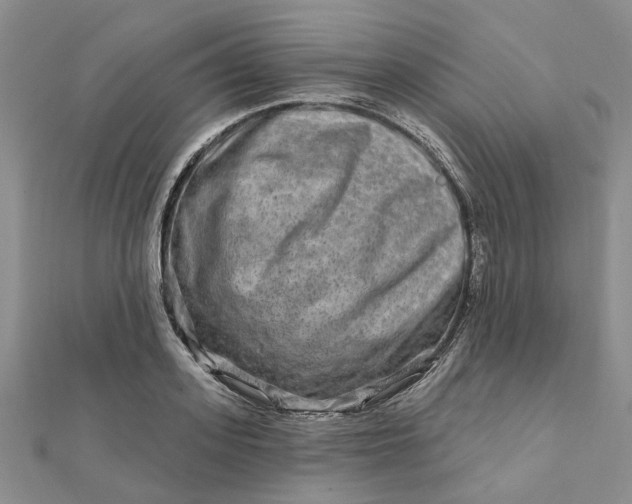 X0000111790939200908061134