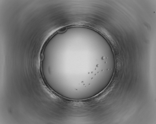 X0000111790940200908061134