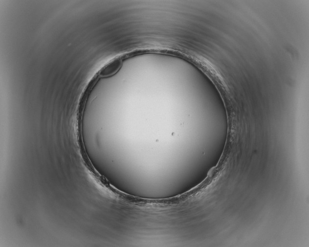 X0000111790942200908061134