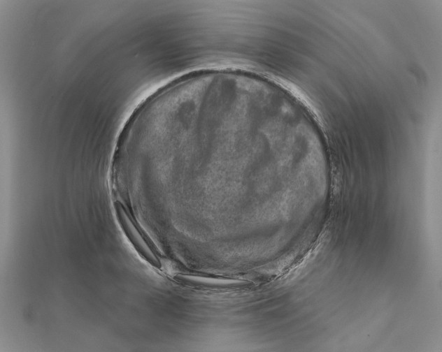 X0000111790943200908061134