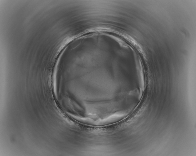 X0000111790945200908061134