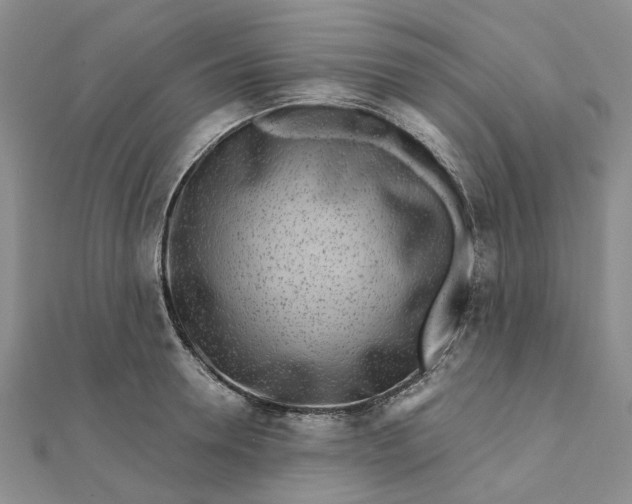 X0000111790946200908061134