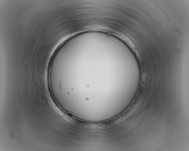 X0000111790947200908061134